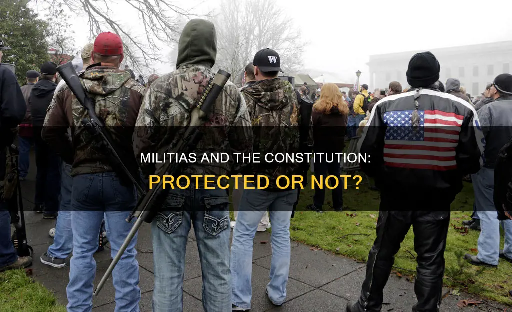 are militias protected by the constitution