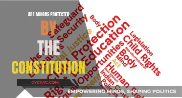 Constitution and Minors: What Protections Are Guaranteed?