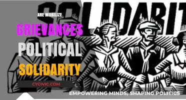 Mobilized Grievances: Fueling Political Solidarity or Divisive Agendas?