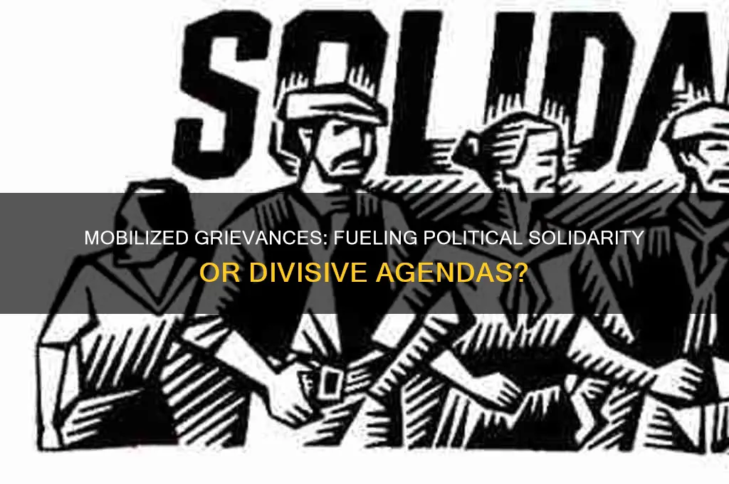 are mobilize grievances political solidarity