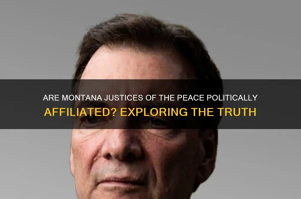are montana justice of the peace affilated with political parties
