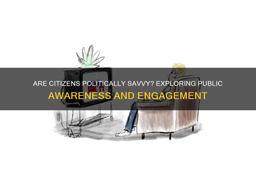 are most citizens politically knowledgable