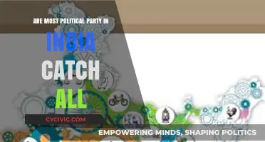 Are India's Political Parties Truly Catch-All? Exploring the Diversity