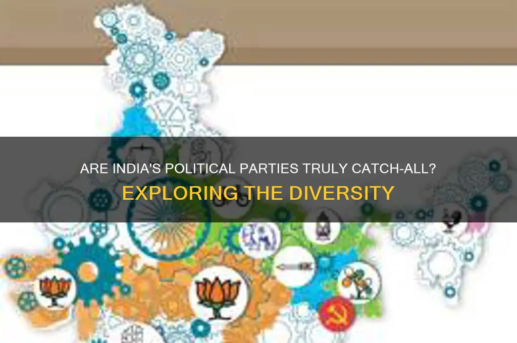are most political party in india catch all