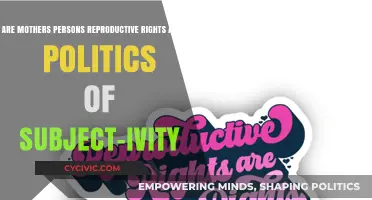 Mothers, Persons, and Reproductive Rights: Navigating the Politics of Subjectivity