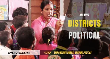 Are Mud Districts Political? Exploring Rural Governance and Power Dynamics