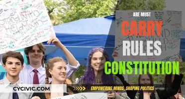 Must-Carry Rules: Constitutional Conundrum or Consumer Protection?