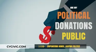 Are Your Political Donations Public? Understanding Disclosure Laws and Privacy