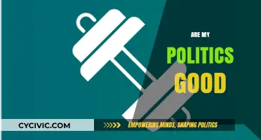 Are My Politics Good? Reflecting on Values, Impact, and Growth