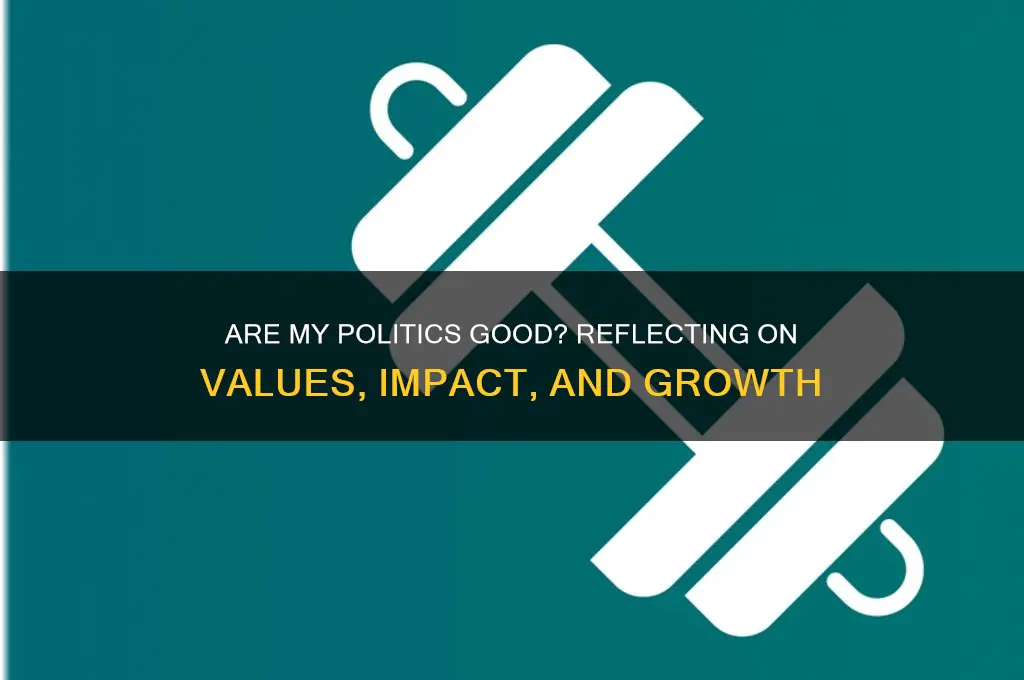 are my politics good