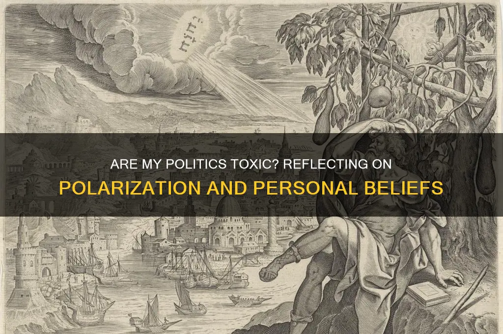 are my politics toxic