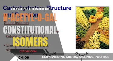 Sugar Twins: Glucosamine and Galactosamine's Isomeric Identity