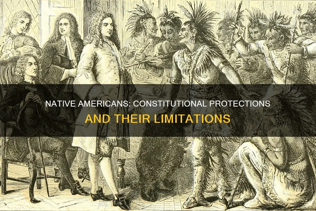 are native americans protected under the constitution