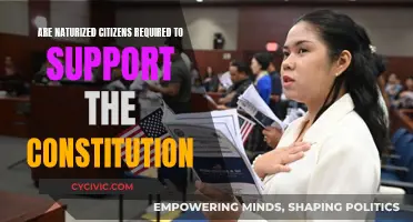 Understanding Naturalized Citizens' Constitutional Obligations in the US
