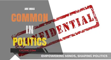 Are NDAs Common in Politics? Exploring Confidentiality Agreements