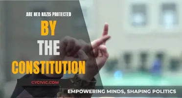 The First Amendment and Neo-Nazis: Protected or Prohibited?