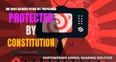News Propaganda: Free Speech or Constitution Conundrum?