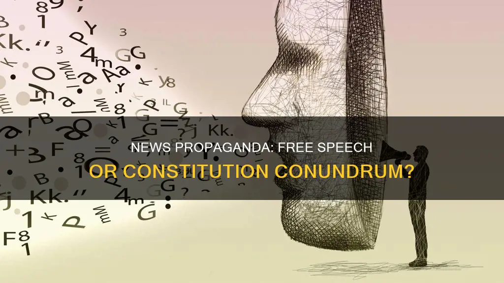 are news agencies puting out propoganda protected by constitution