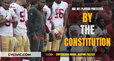 The NFL, the Constitution, and Player Rights