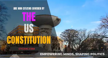 Who is Protected by the US Constitution?