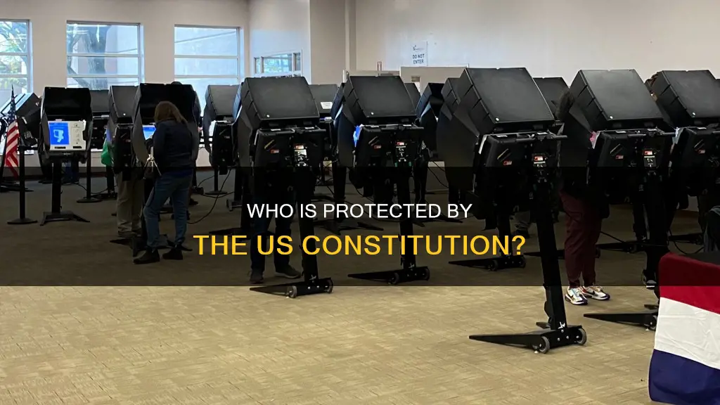 are non citizens covered by the us constitution