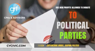 Can Nonprofits Legally Donate to Political Parties? Key Rules Explained