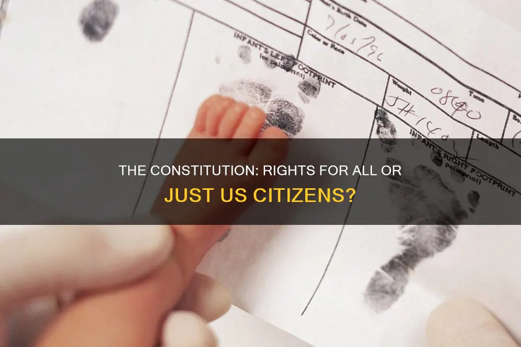 are non us citizens protected by the constitution