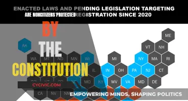 Who is Protected by the US Constitution?