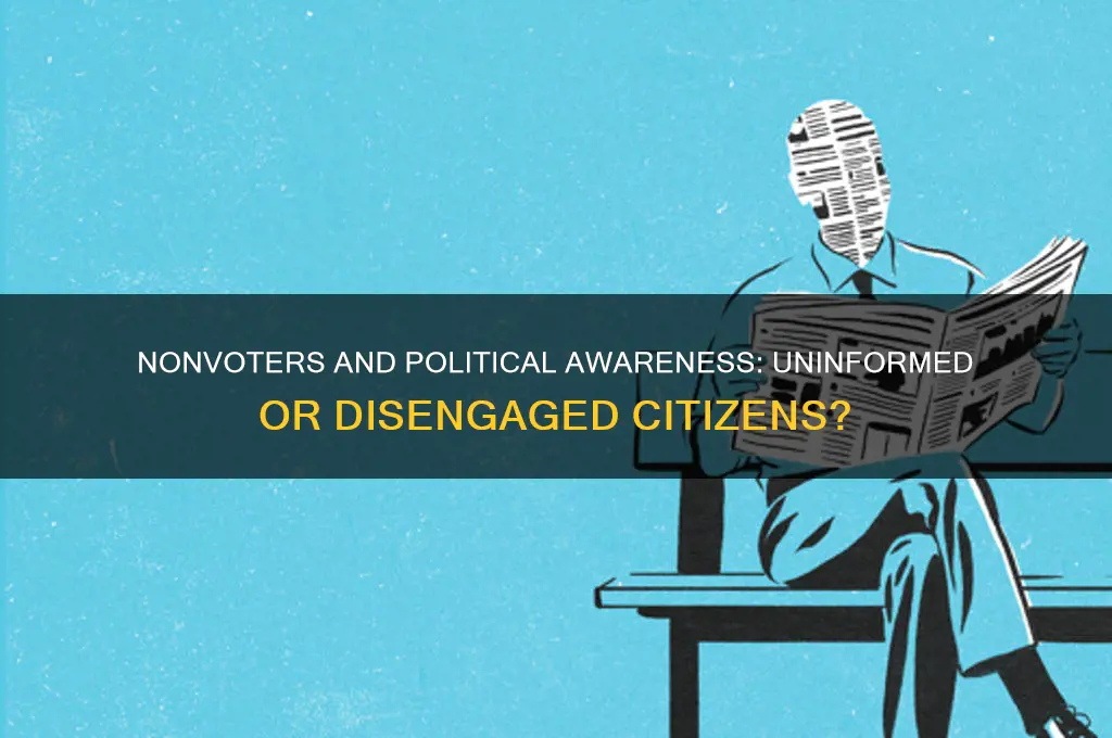are nonvoters uninformed in politics