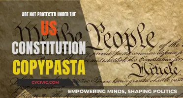 The US Constitution: Protecting Citizens or the Powerful?
