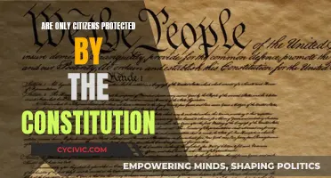Who Does the Constitution Protect? Citizen Rights Explored