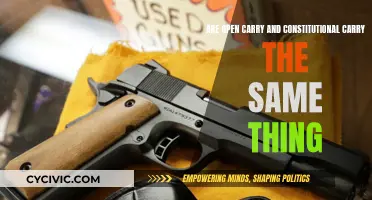 Open Carry vs Constitutional Carry: What's the Difference?