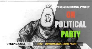 Party Lines and Corruption: How Politics Shapes Public Perception