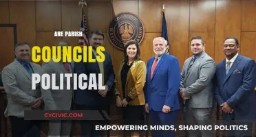 Are Parish Councils Political? Exploring Local Governance and Party Influence