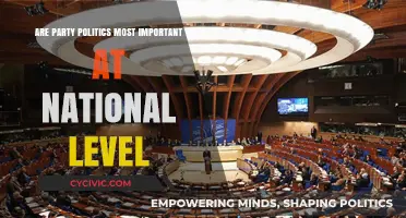 National Party Politics: The Ultimate Power Player in Governance?