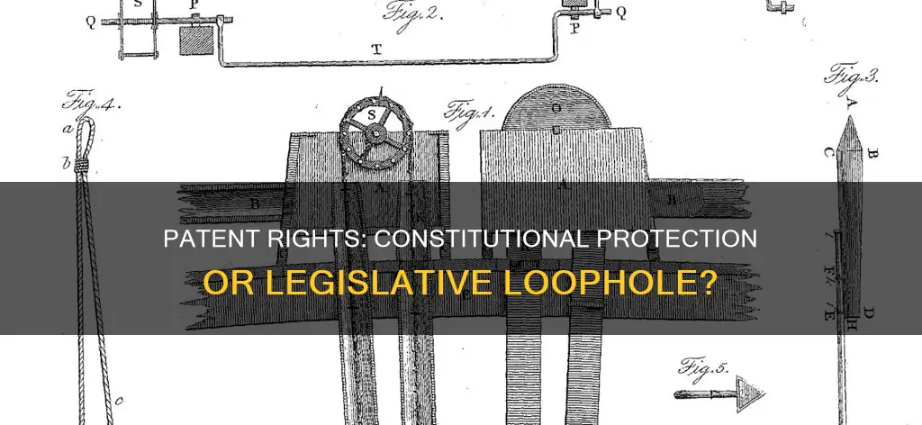 are patents protected by the constitution