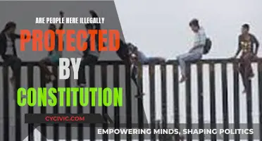 The Constitution and Illegal Immigration: A Complex Relationship