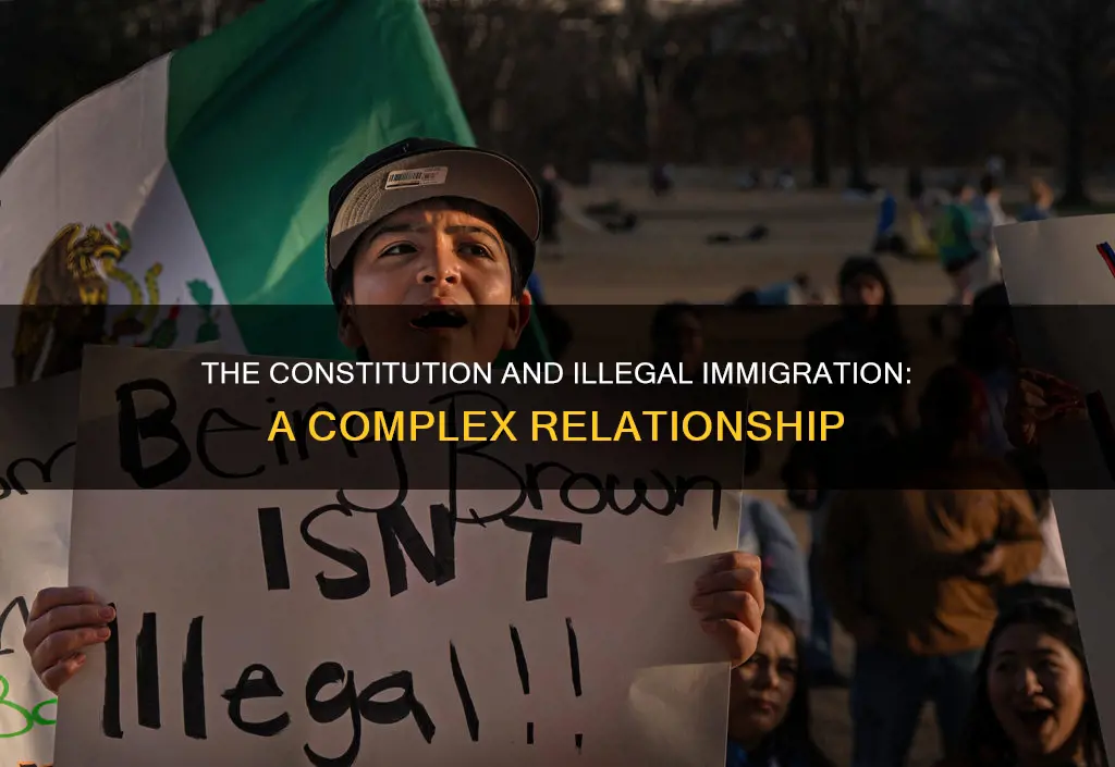are people here illegally protected by constitution