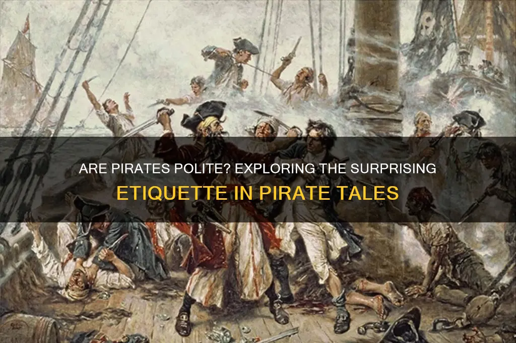are pirates polite book