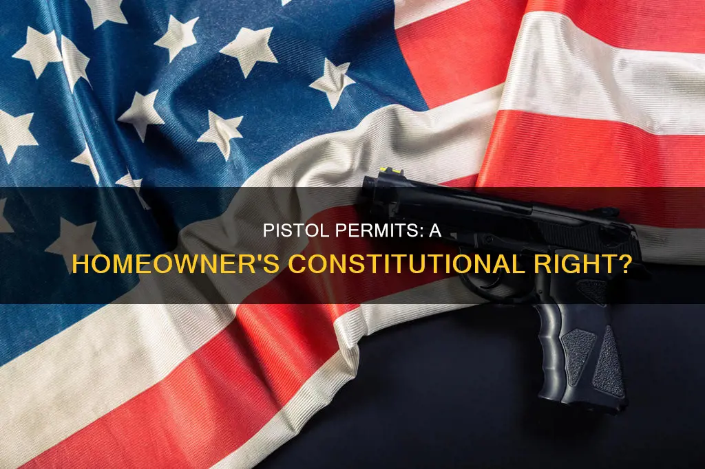 are pistol permits to own inside a home constitutional