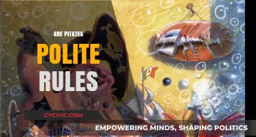 Are Pirates Polite? Exploring the Unwritten Rules of the High Seas