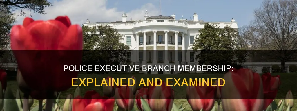 are police part of the executive branch