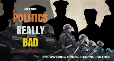 Are Police Politics Truly Harmful? Uncovering the Complex Reality