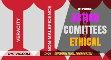 Are Political Action Committees Ethical? Exploring Morality in Campaign Financing