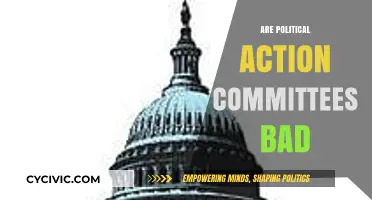 Are Political Action Committees Harmful to Democracy?