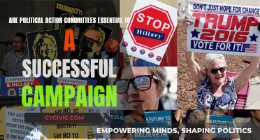 PACs: Essential Campaign Allies or Unnecessary Burden?