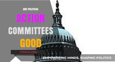 Are Political Action Committees Beneficial or Detrimental to Democracy?