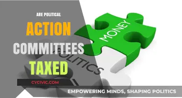 Are Political Action Committees Taxed? Understanding PAC Taxation Rules