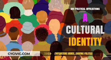 Exploring the Intersection of Politics and Cultural Identity