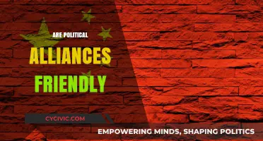Are Political Alliances Truly Friendly or Just Strategic Partnerships?